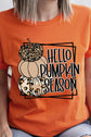 Hello Pumpkin Season Unisex Tshirt